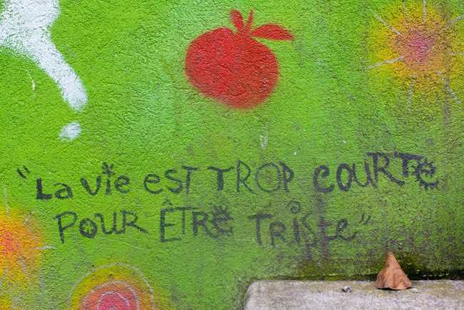 Apple Life too Short